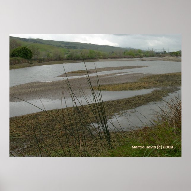 Póster Día lluvioso de Coyote Creek (Frente)