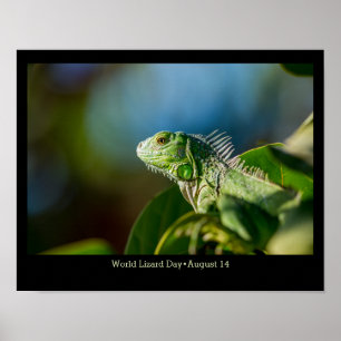 Póster Día Mundial de la Laguna, iguana