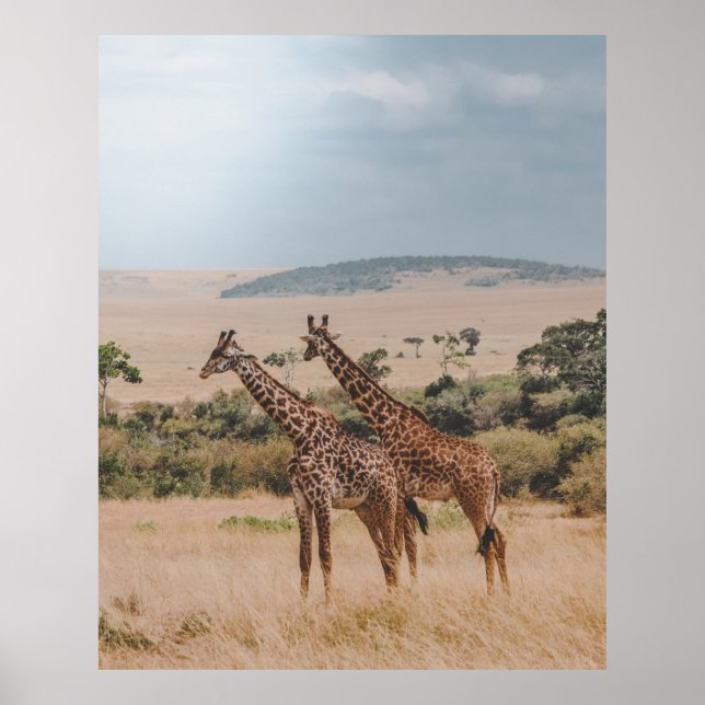 PÓSTER DÍA MUNDIAL DE LA VIDA SALVAJE (Frente)