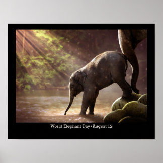 Póster Día Mundial del Elefante