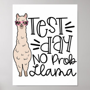 Póster Día No Prob Llama Prueba de Maestros Día 1