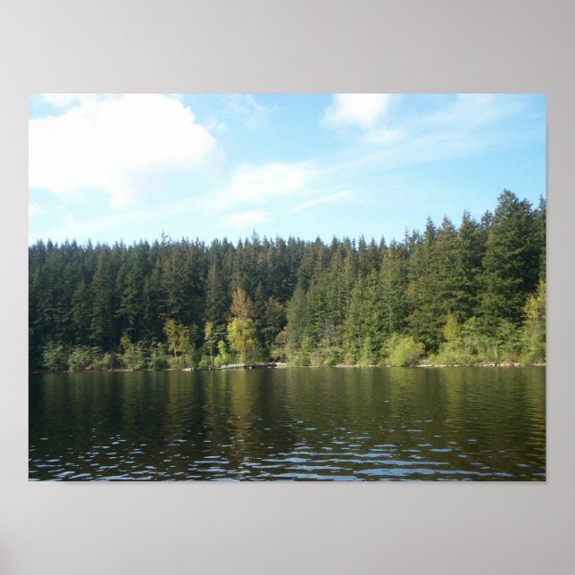 Póster Día soleado en el lago Padden (Frente)