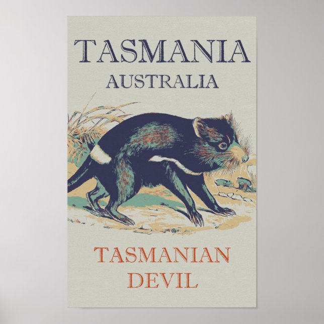 Póster Diablo de Tasmania, animal icónico Tasmania Austra (Frente)