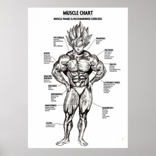 Póster Diagrama de anatomía animada, gráfico muscular - M