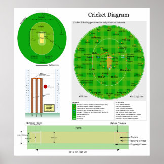 Póster Diagrama de campo de posición de cricket