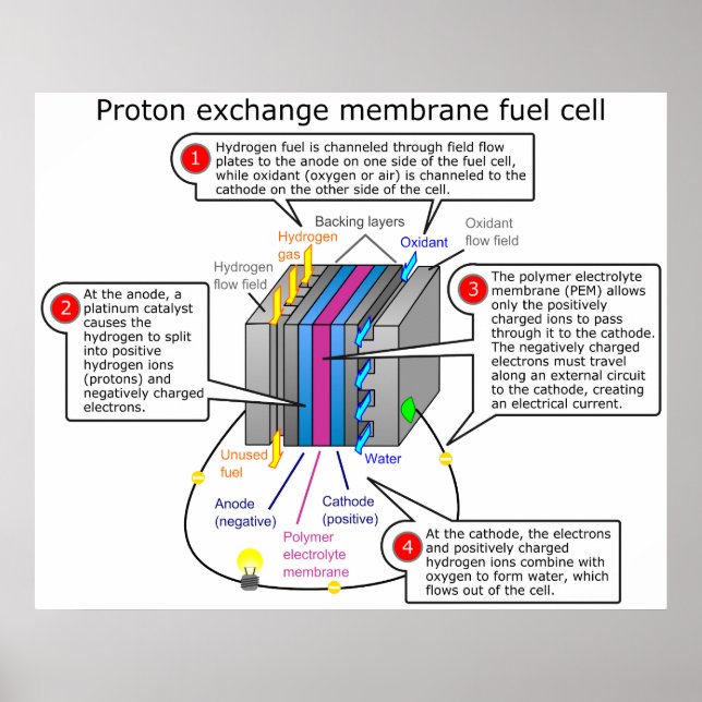 Póster Diagrama de células de combustible de membrana de  (Frente)
