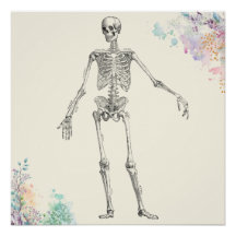 Diagrama de flores de esqueleto de anatomía médica