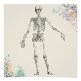 Póster Diagrama de flores de esqueleto de anatomía médica