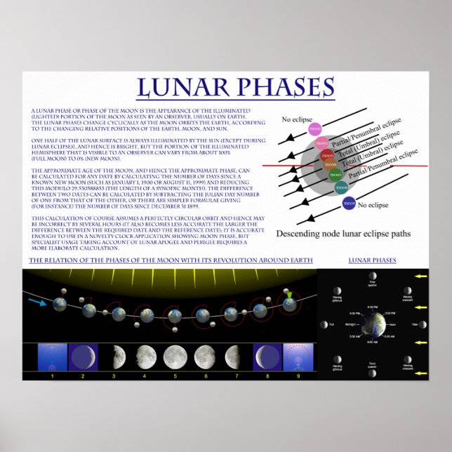 Póster Diagrama de las fases lunares de la luna terrestre (Frente)