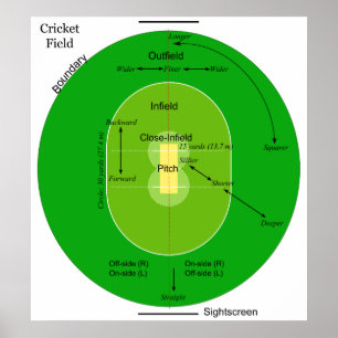 Póster Diagrama de un campo formado oval herboso del