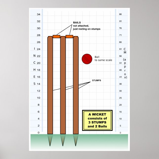 Póster Diagrama de un juego de cricket (Frente)