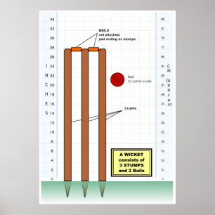 Póster Diagrama de un wicket del juego del grillo