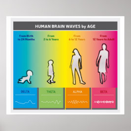Póster Diagrama del arcoiris de las olas de cerebro human