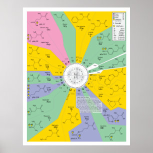 Póster Diagrama del código genético que muestra residuos