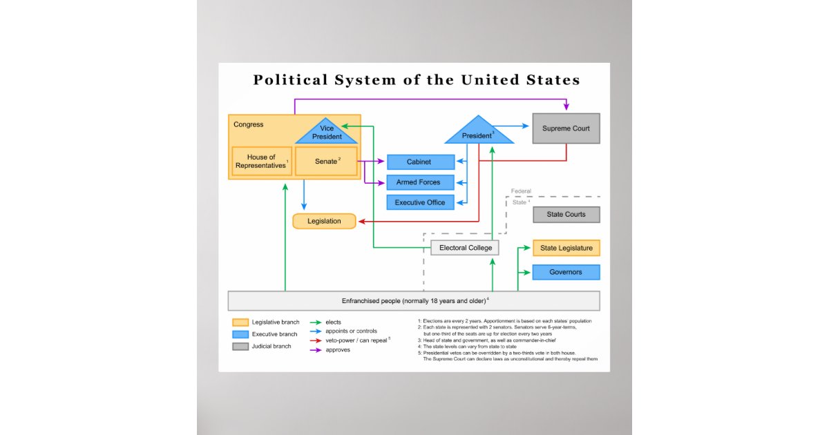 Póster Diagrama del sistema político de los Estados Unido | Zazzle.es