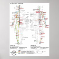 Diagrama esquemático meridianos chinos cuerpo huma