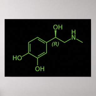 Póster Diagrama Químico de la Molécula de Adrenalina