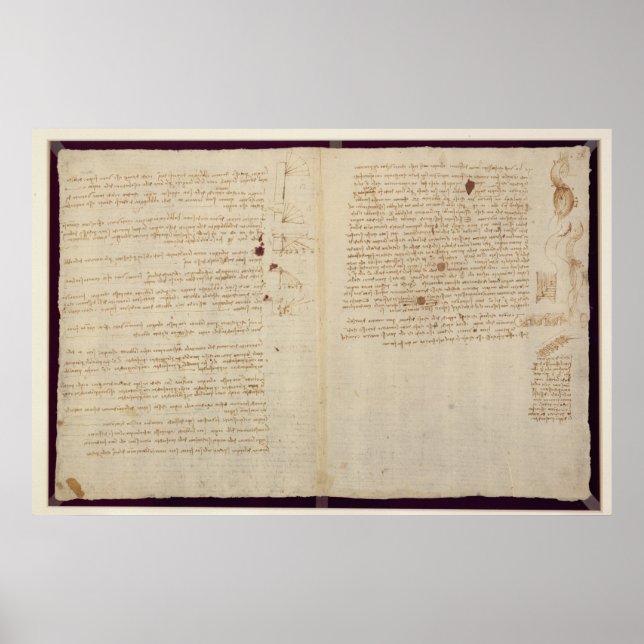 Póster Diagramas científicos (Frente)