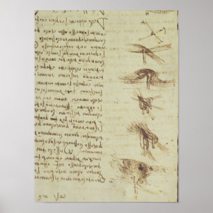 Póster Diagramas científicos