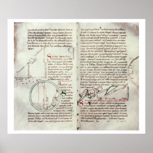 Póster Diagramas de medidas y texto (vellum)