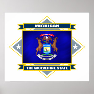 Póster Diamante de Michigan