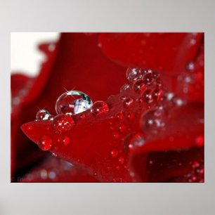 Póster Diamantes de la rosa roja