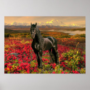 Póster DIAMOND Friesiano I - Poster