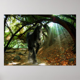 Póster DIAMONIO Friesiano IV - Poster