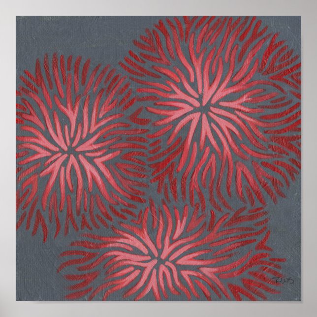 Póster Dianthus II (Frente)