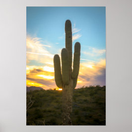 Póster Días de cactus
