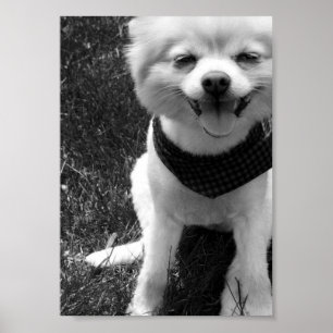 Póster Días de duodía de verano caliente