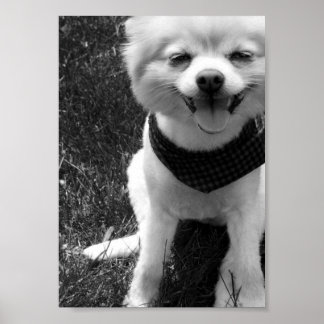 Póster Días de duodía de verano caliente