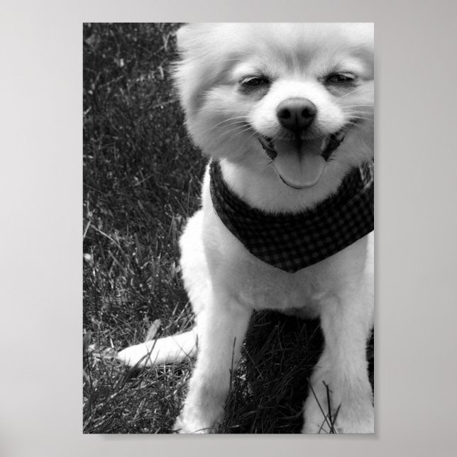 Póster Días de duodía de verano caliente (Frente)