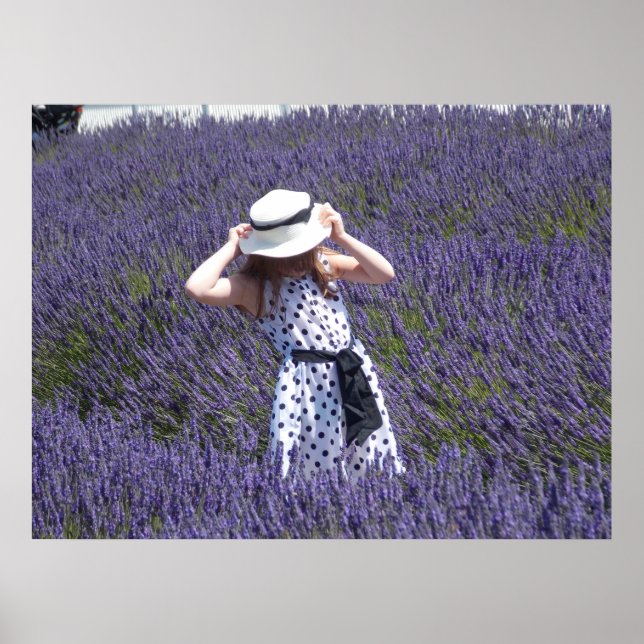Póster Días de Lavender (Frente)