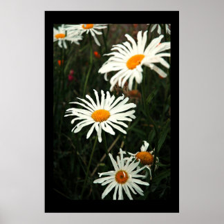 Póster Días de mareo