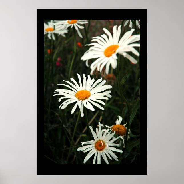 Póster Días de mareo (Frente)