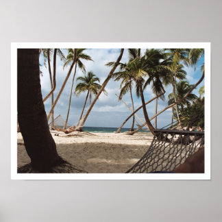 Póster Días de palmeras flojas