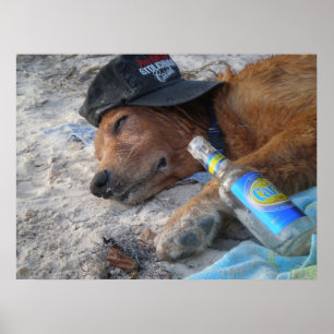 Póster Días de perros