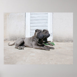 Póster Días de verano......