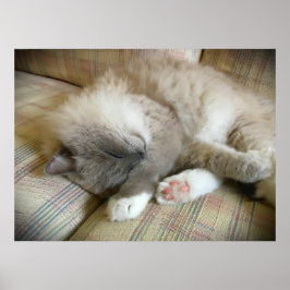 Póster Días lentos,