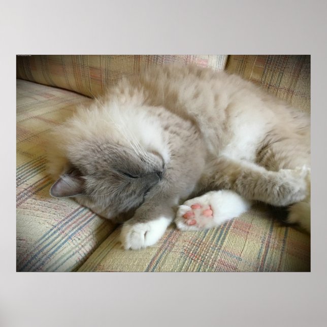 Póster Días lentos, (Frente)