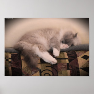 Póster Días lentos,