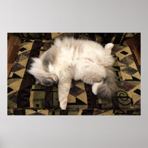 Póster Días lentos,