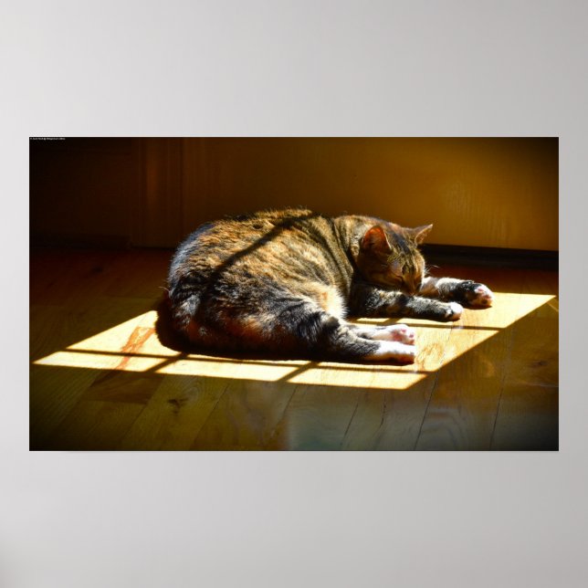 Póster Días lentos, (Frente)