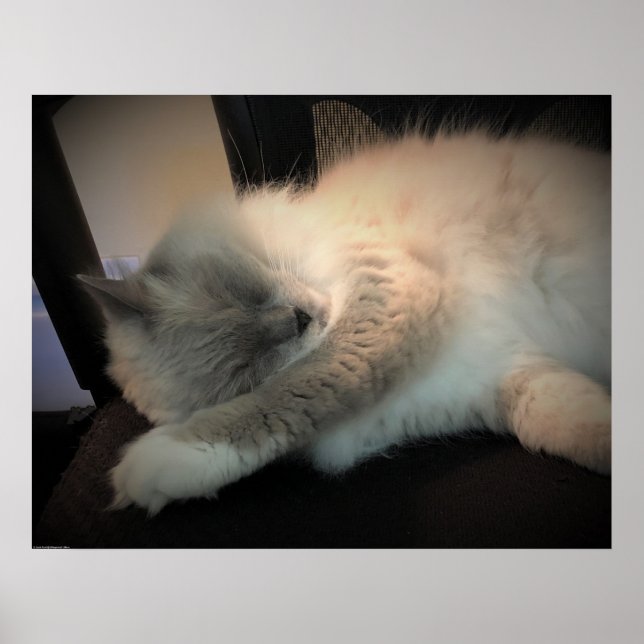 Póster Días lentos, (Frente)