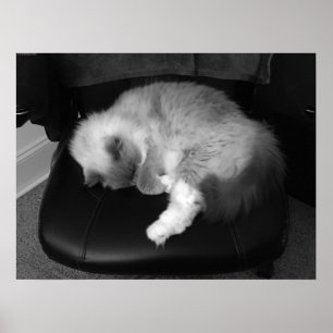 Póster Días lentos,