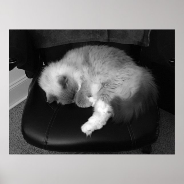 Póster Días lentos, (Frente)