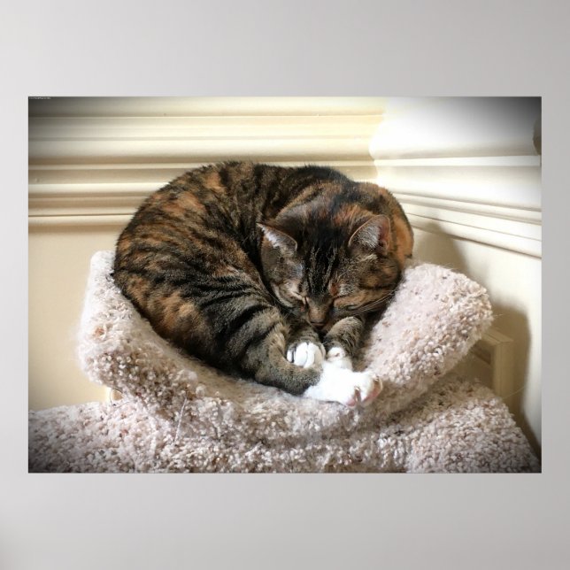 Póster Días lentos, (Frente)