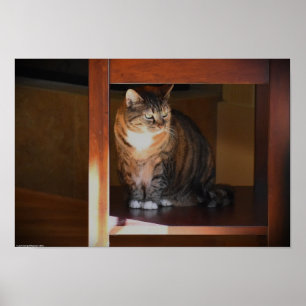 Póster Días lentos,