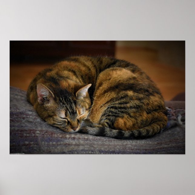 Póster Días lentos, (Frente)